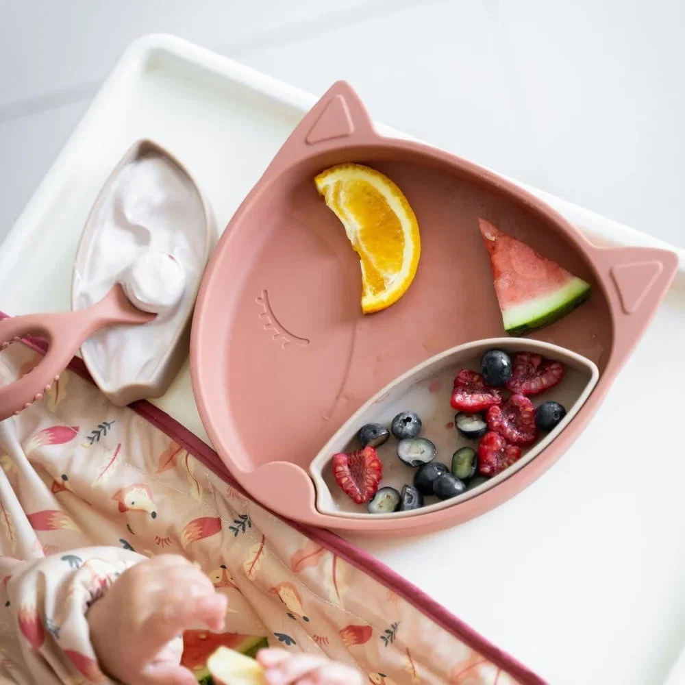 Farfurie diversificare din silicon - Vulpita TIDY TOT 6 luni + [5]