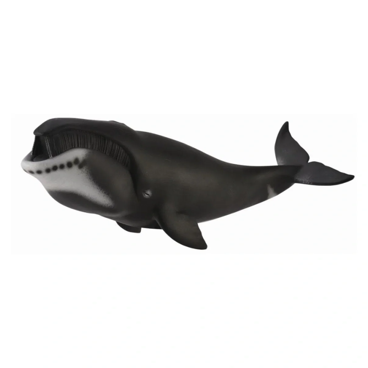 Figurina Balena Bowhead XL Collecta [1]