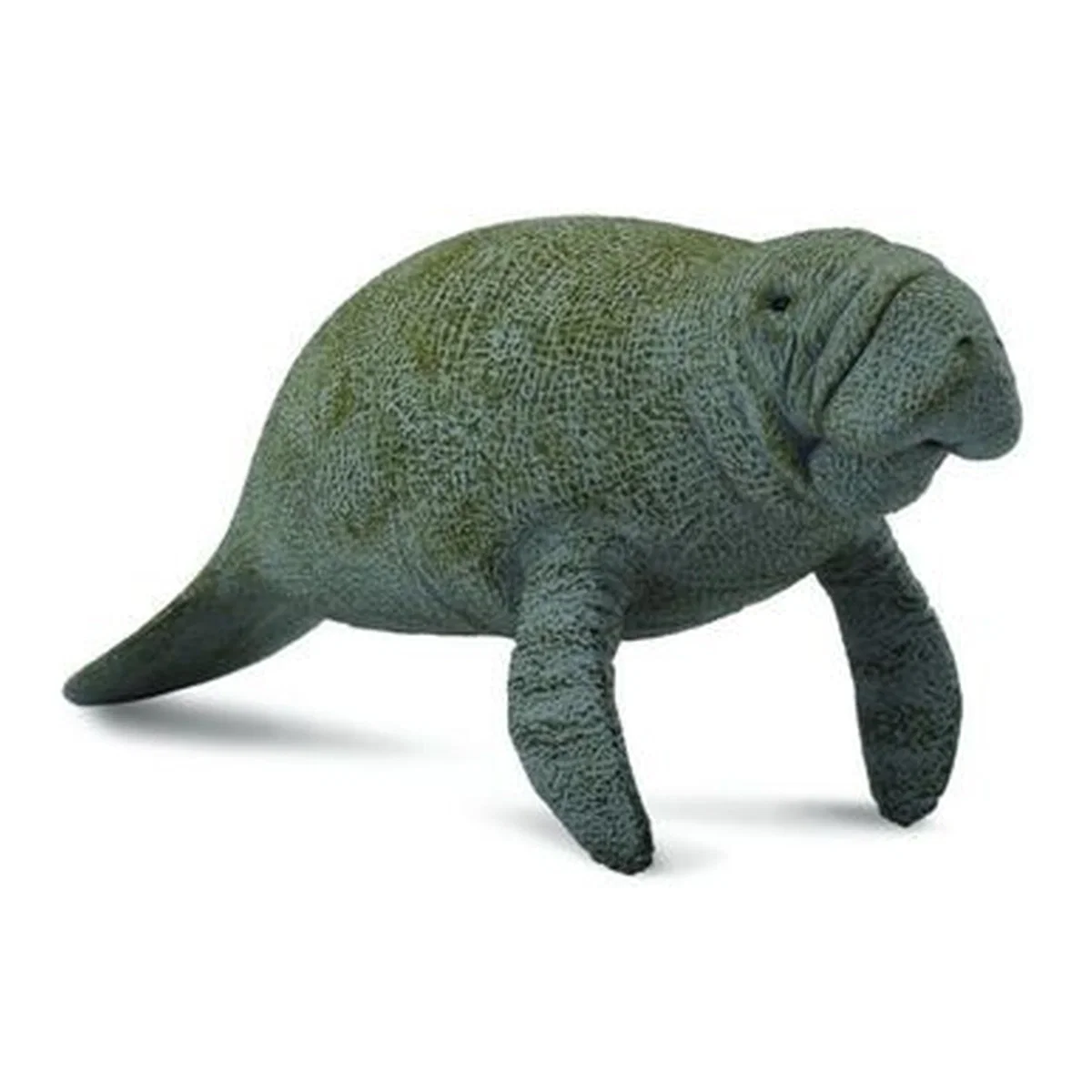 Figurina Lamantinul Collecta [1]