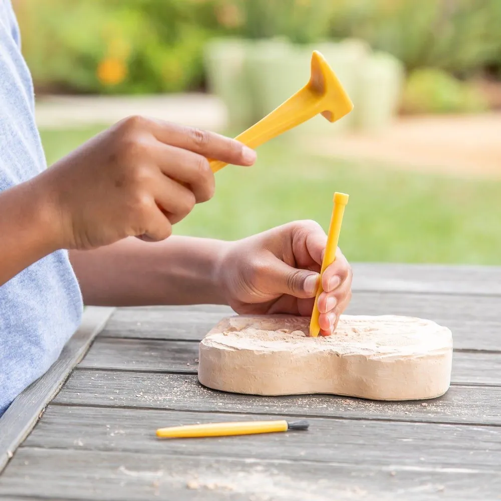 GeoSafari - Kit excavare fosile Educational Insights 7 ani+ [5]