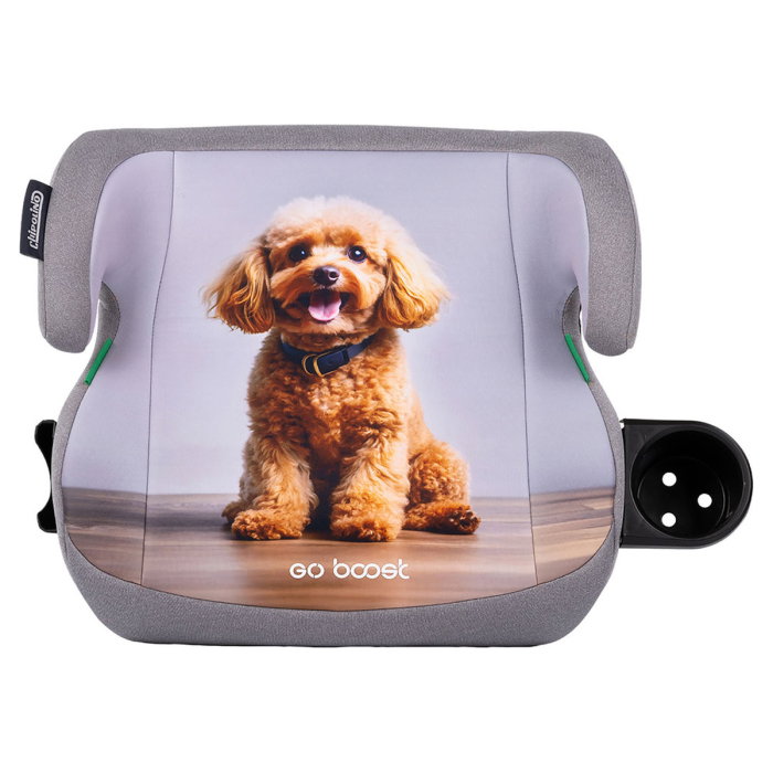 Inaltator auto Chipolino Go Boost I-Size 125-150 cm poodle [1]