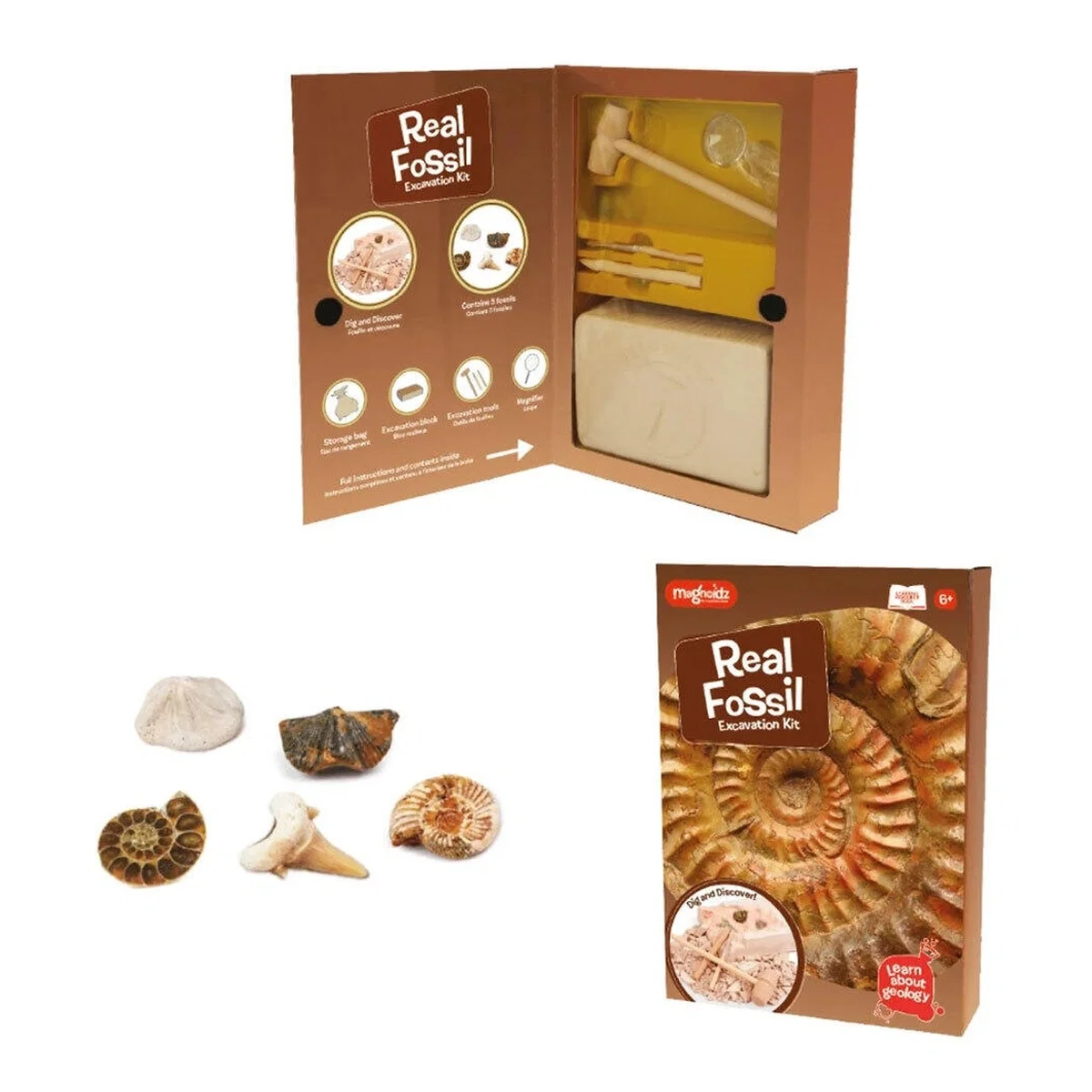 Kit paleontologie - Descopera fosile Keycraft 6 ani+ [1]