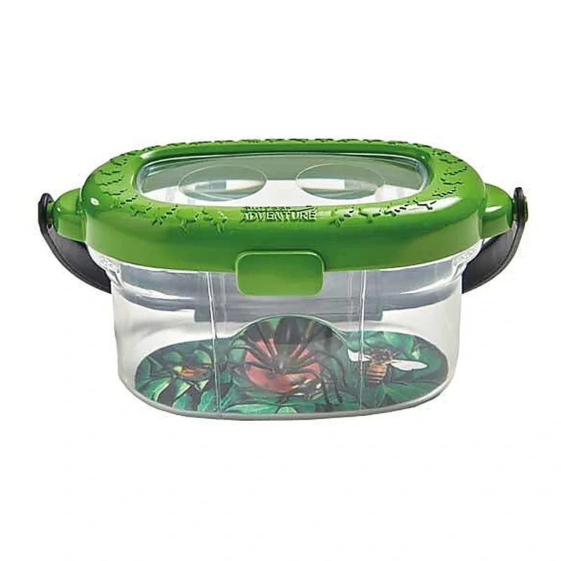 Observatorul pentru insecte Brainstorm 3 ani [2]