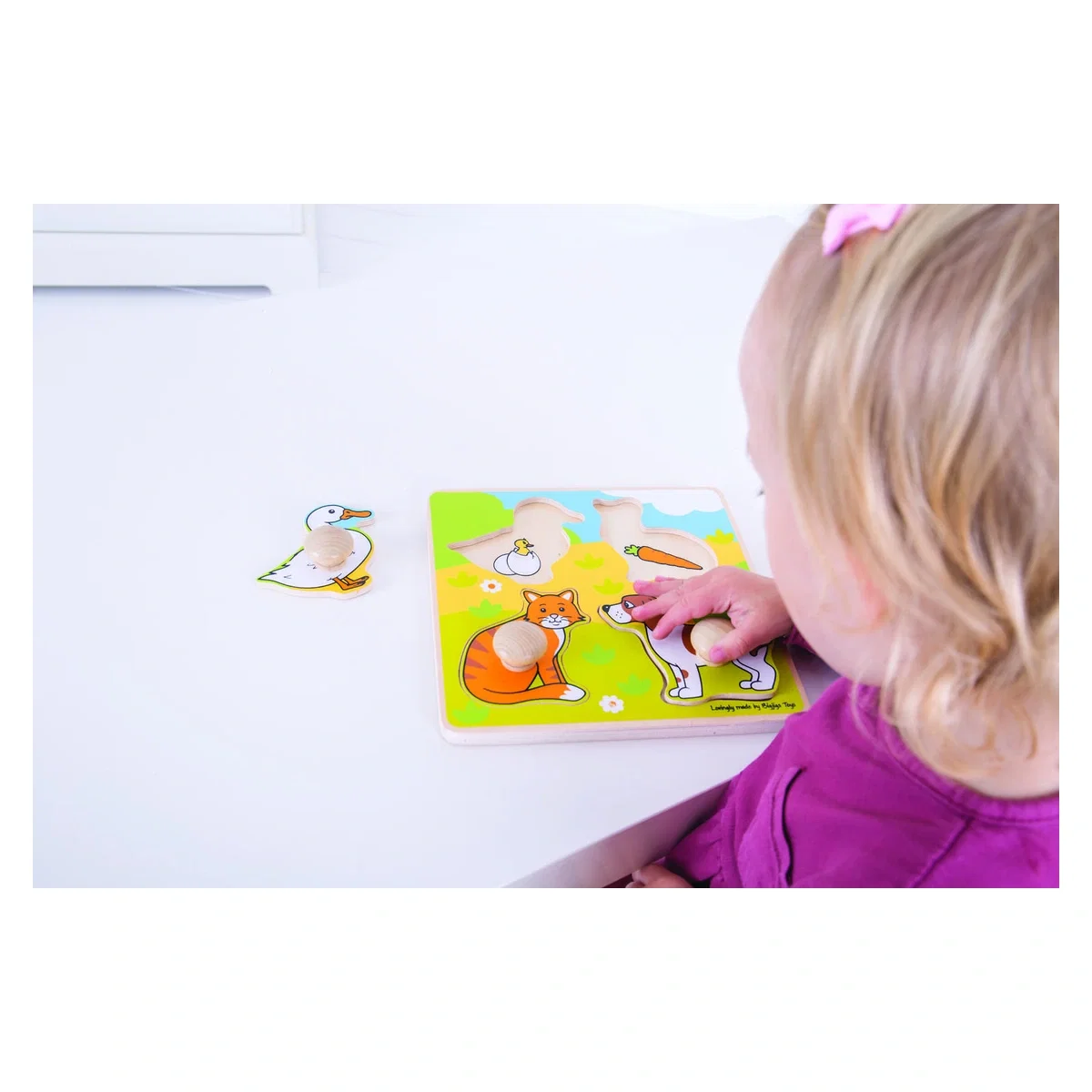 Primul meu puzzle - animale de companie BIGJIGS Toys 12 luni+ [2]