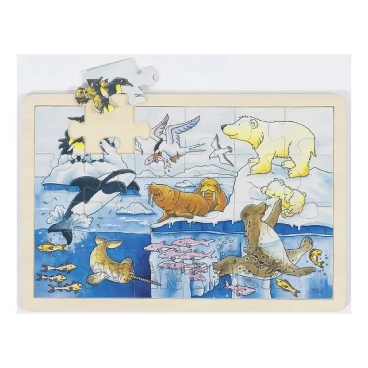 Puzzle Viata polara Goki [2]