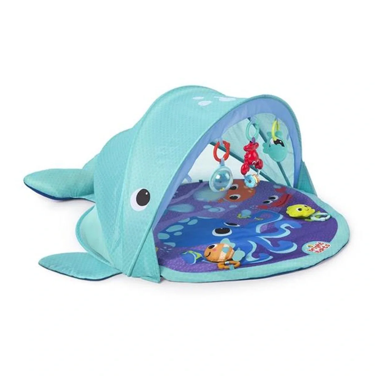 Salteluta de activitati Explore & Go Whale Bright Starts [2]