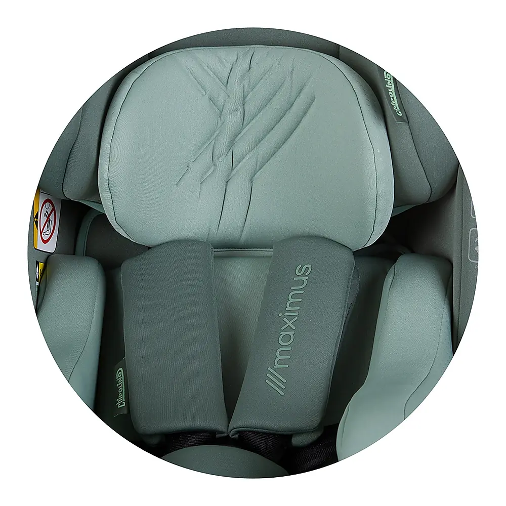 Scaun auto Chipolino Maximus I-Size 40-150 cm, sistem Isofix, Pastel green 12 ani [14]