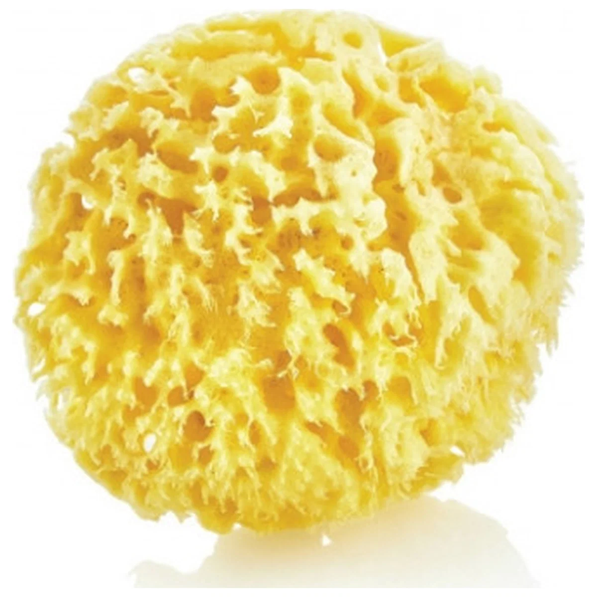 Baita celor mici - Burete natural pentru bebelusi BabyJem Sea Sponge 0 luni+