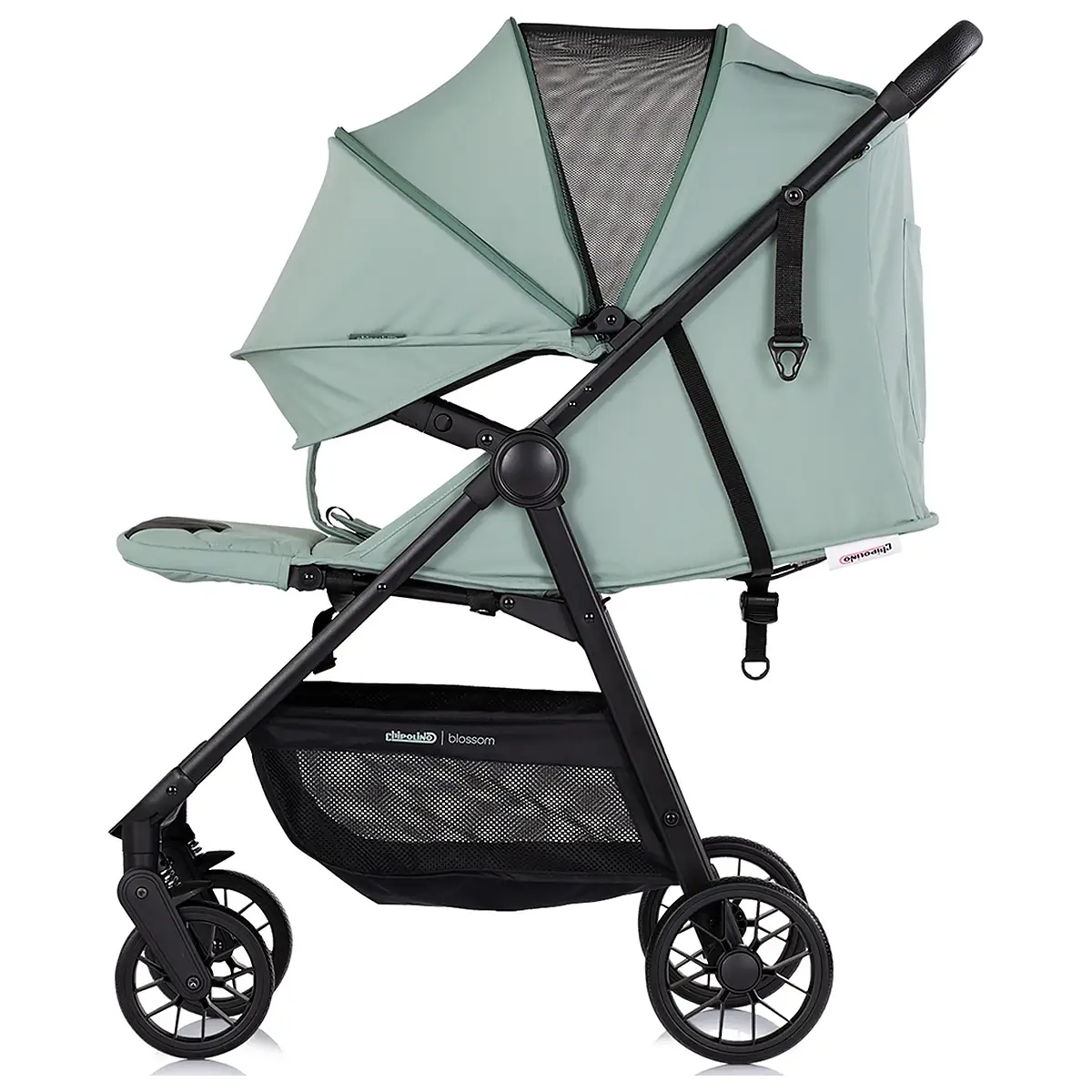 Carucior sport Chipolino Blossom matcha [4]