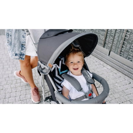 Carucior sport, Lionelo, Elia, Gri 36 luni [18]