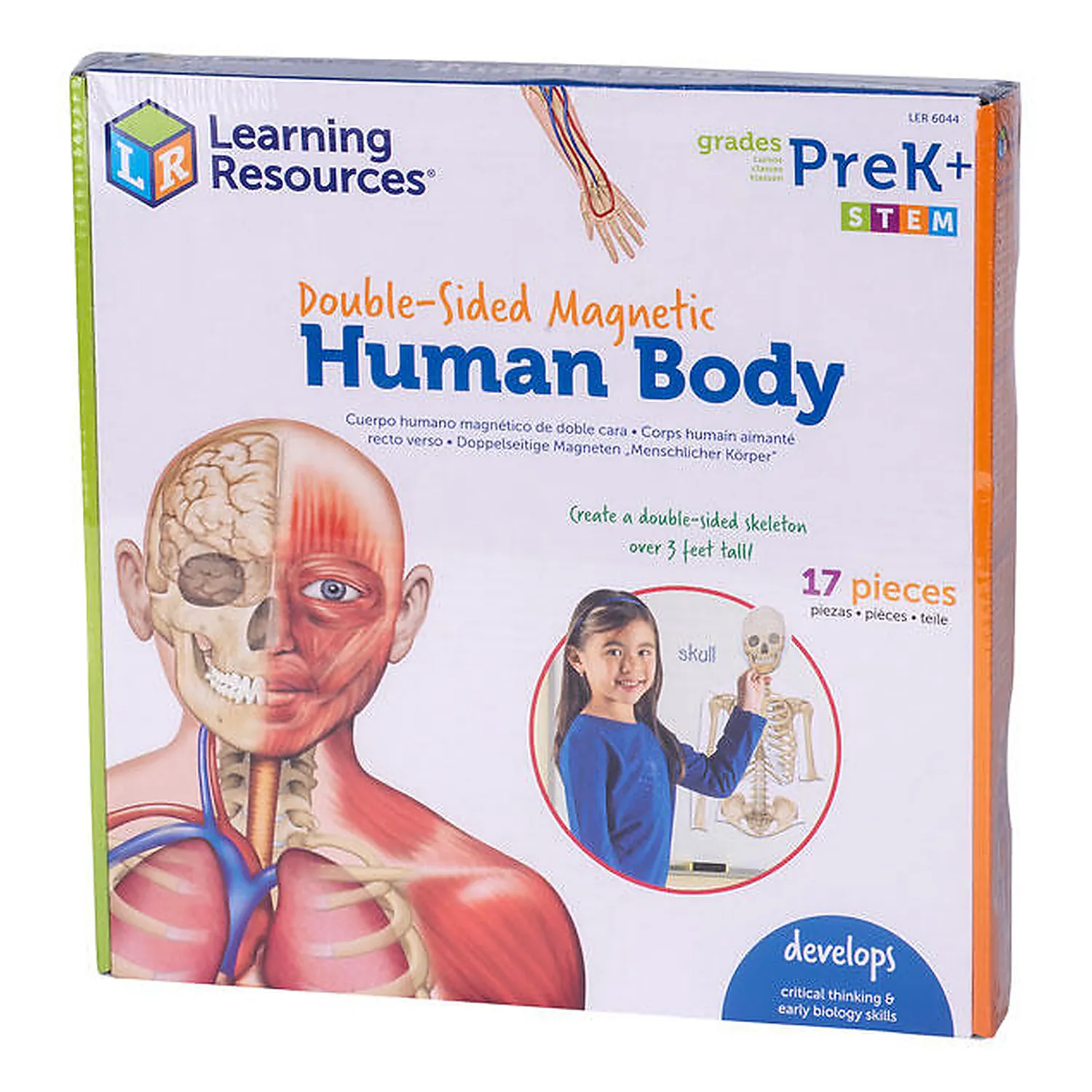 Jucarii educative - Corpul uman - set magnetic Learning Resources 9 ani