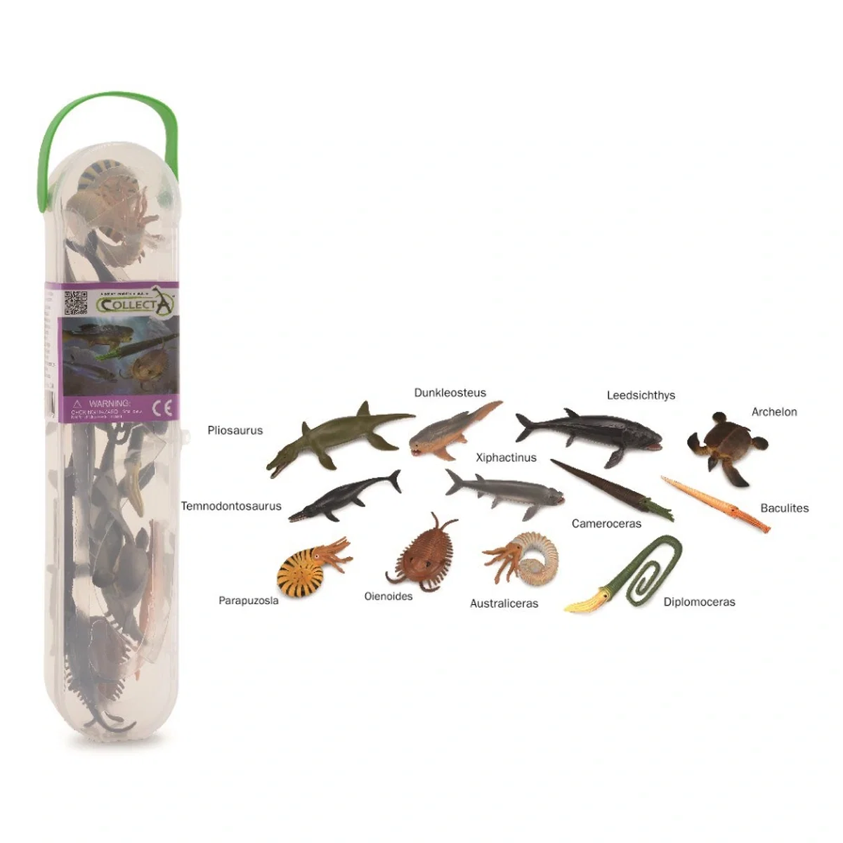 Set figurine - Cutie cu 12 minifigurine Animale marine preistorice Collecta
