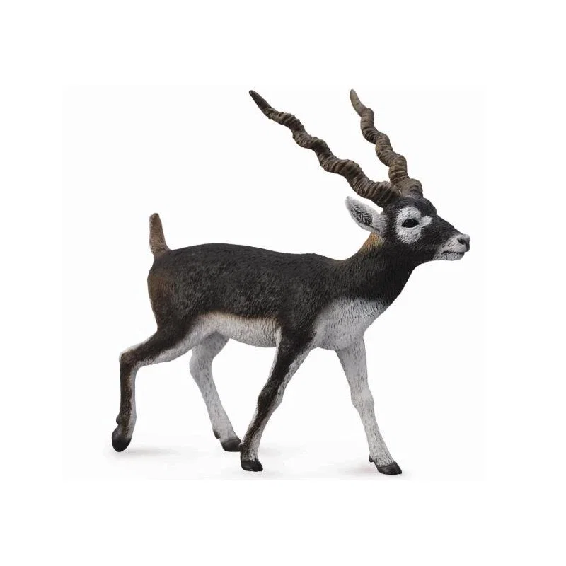 Animale salbatice - Figurina Antilopa Blackbuck Collecta 3 ani +