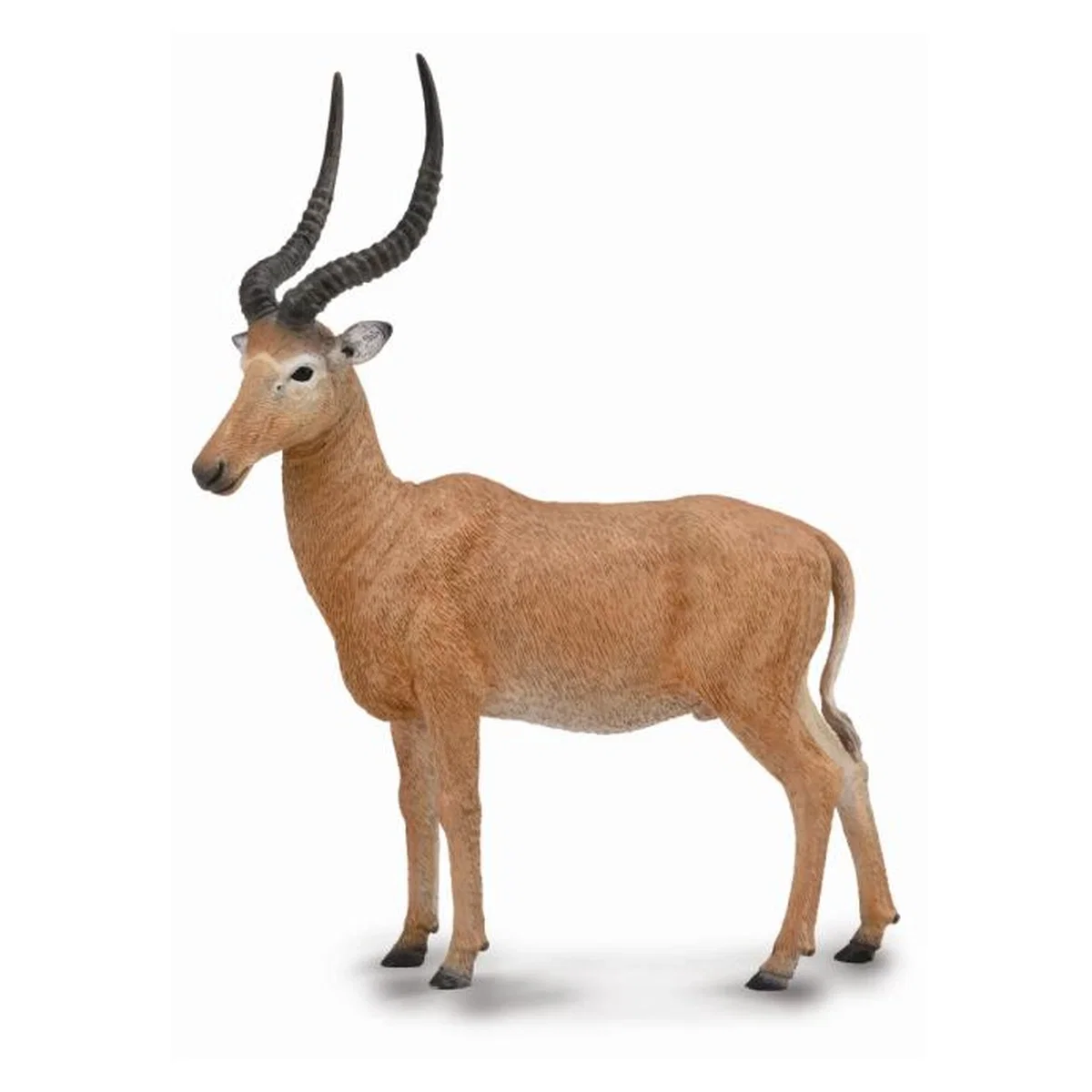 Animale salbatice - Figurina Antilopa Hirola L Collecta