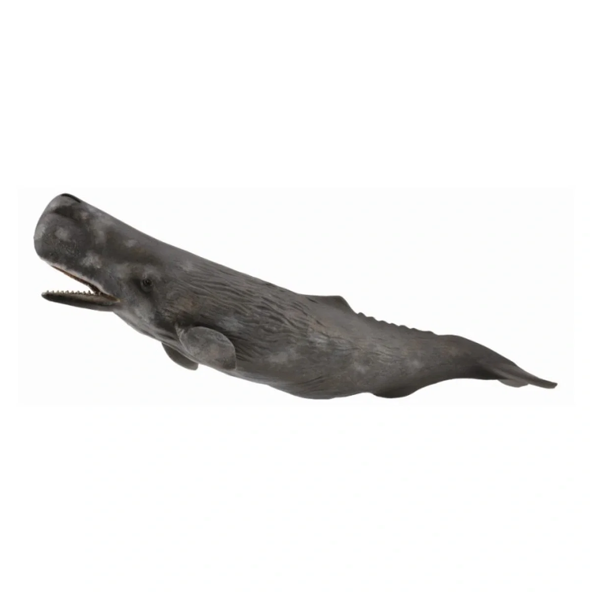 Ocean si gheata - Figurina Balena Casalot Collecta