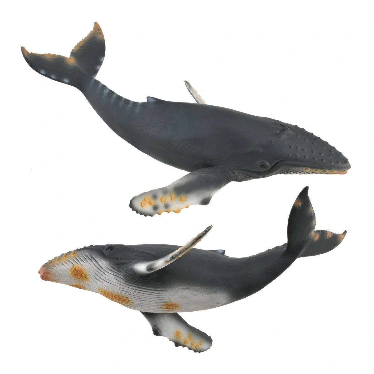 Ocean si gheata - Figurina Balena cu cocoasa Collecta