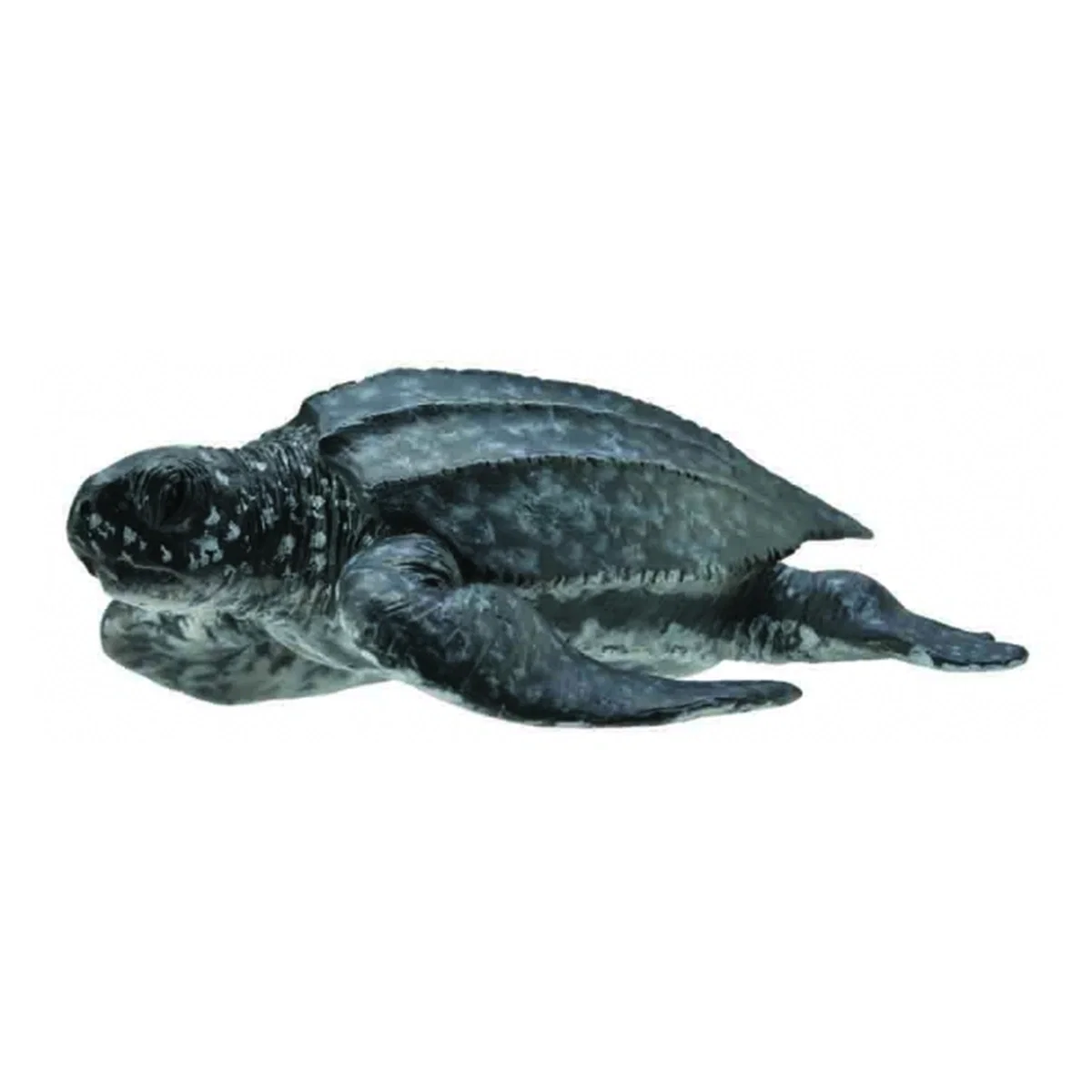 Ocean si gheata - Figurina Broasca Testoasa de Mare M Collecta