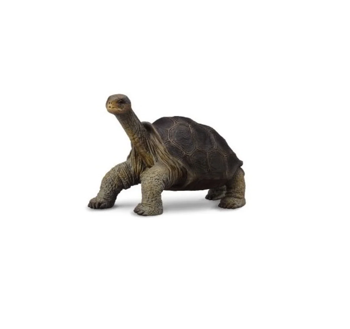 Animale salbatice - Figurina Broasca Testoasa din Pinta Island M Collecta