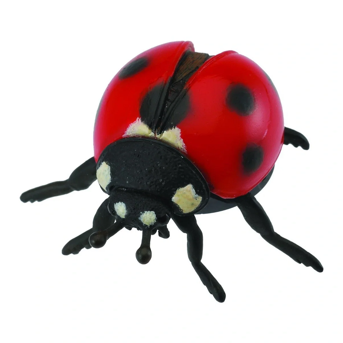 Insecte si paianjeni - Figurina Buburuza Collecta