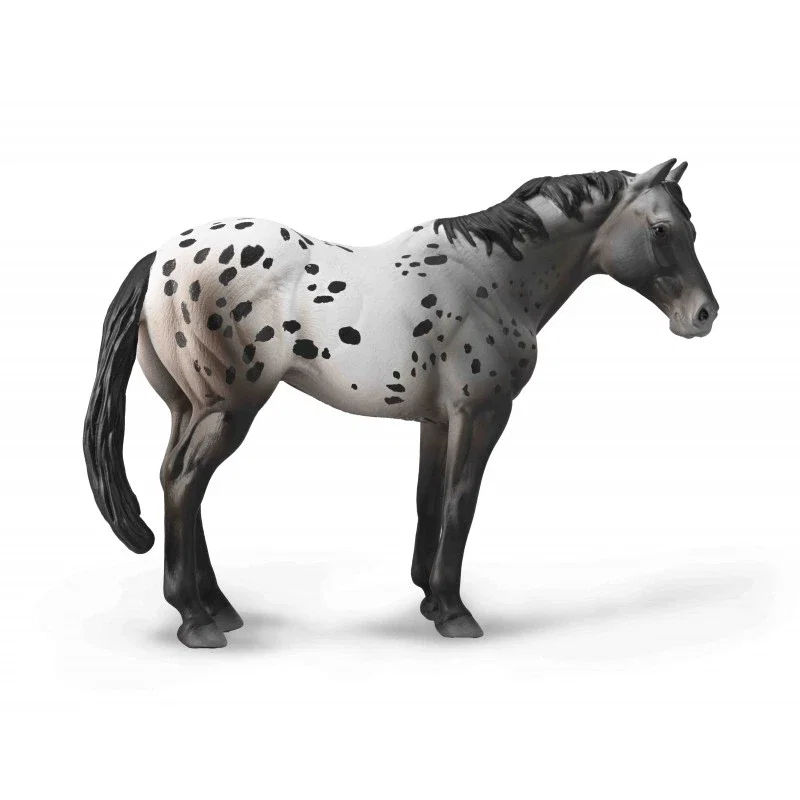 Cai - Figurina cal Appaloosa Blue Roan Collecta 3 ani +