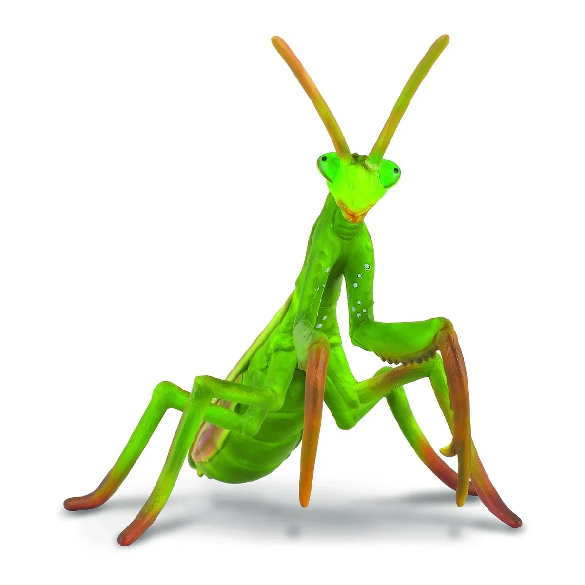 Insecte si paianjeni - Figurina Calugarita Collecta