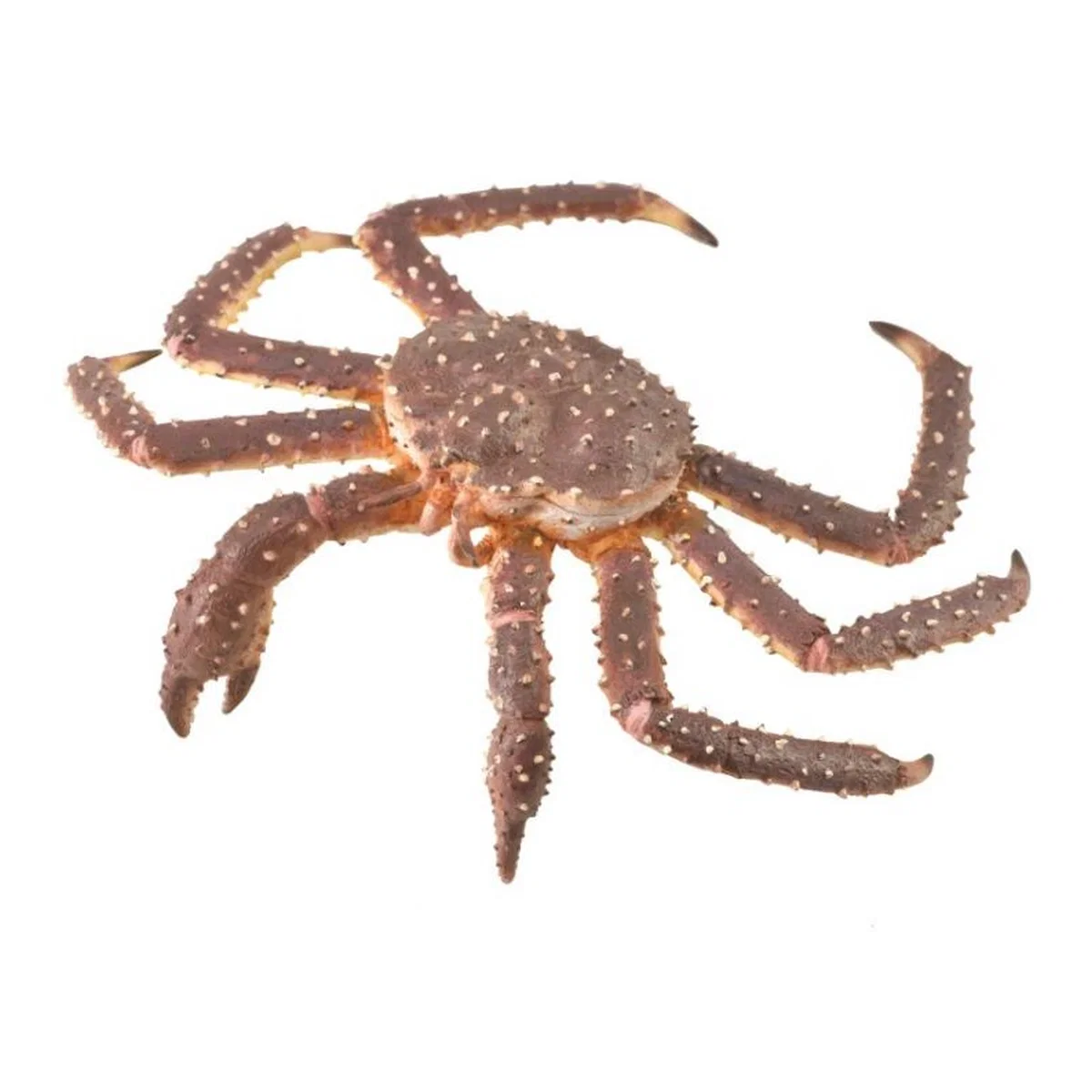 Ocean si gheata - Figurina Crab Regal XL Collecta