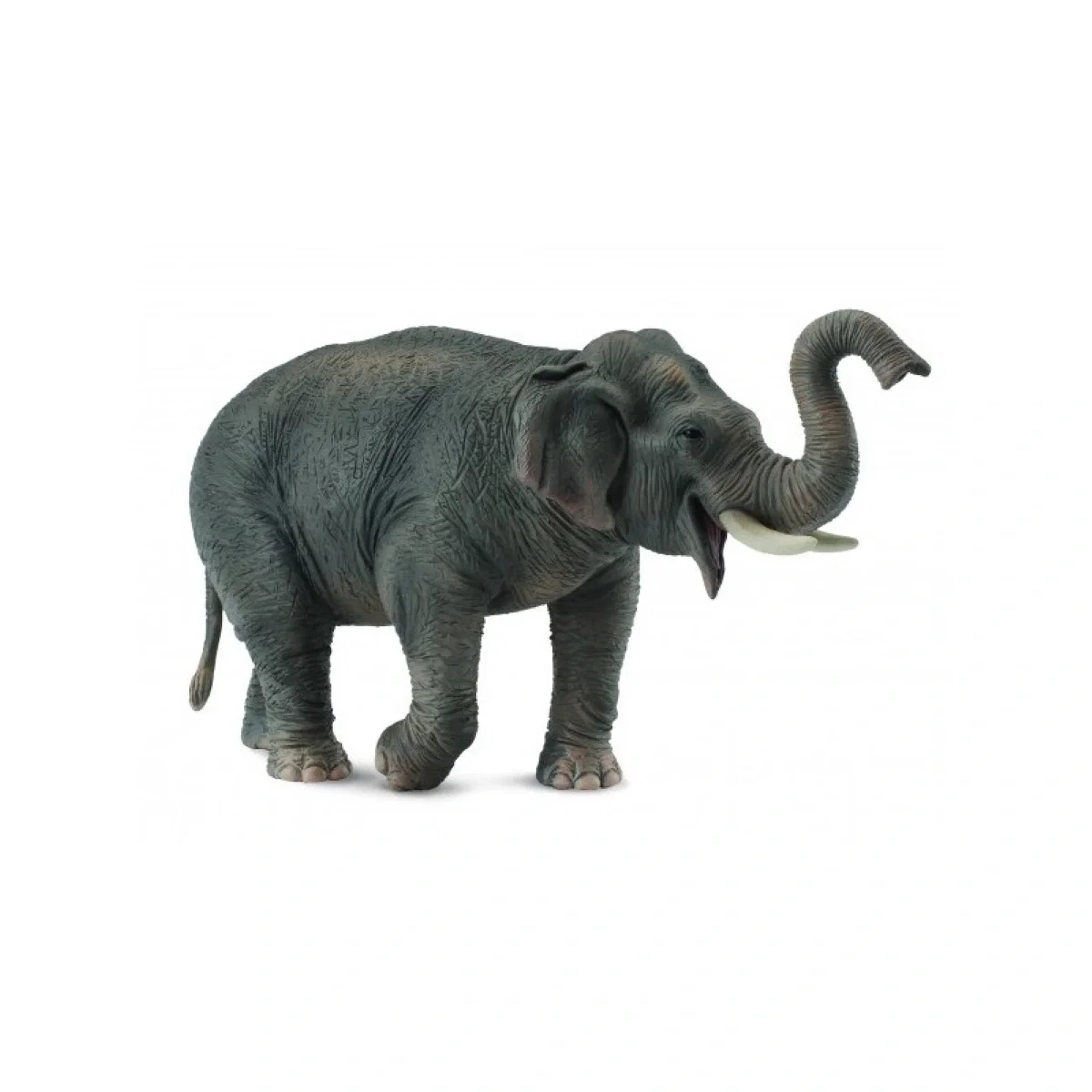 Animale salbatice - Figurina Elefant asiatic XL Collecta