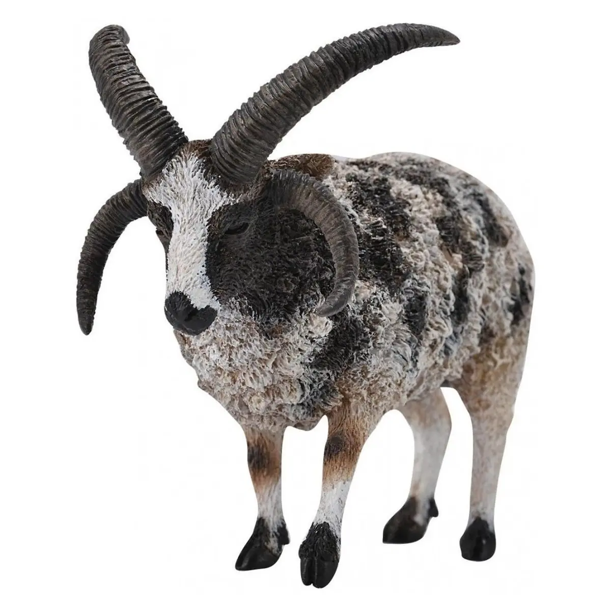 Figurina Jacob Sheep L Collecta [1]