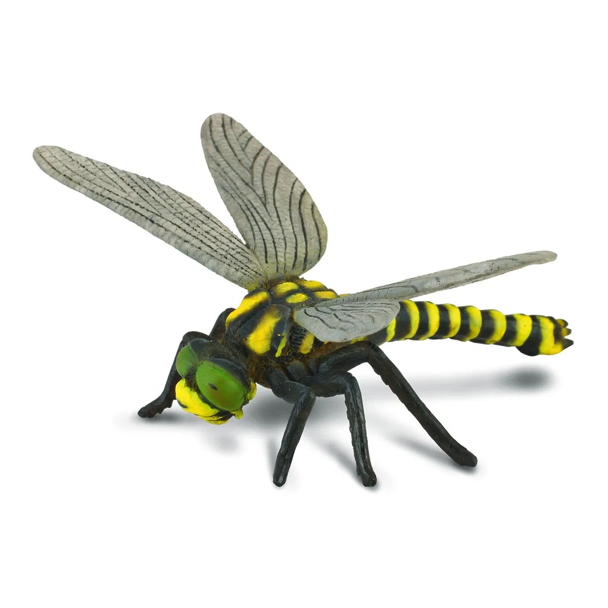 Insecte si paianjeni - Figurina Libelula Collecta