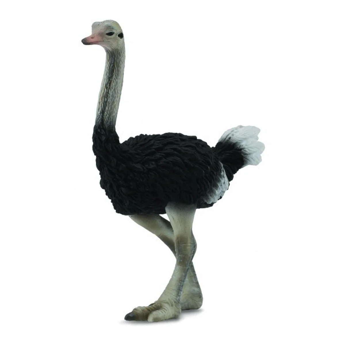 Animale salbatice - Figurina Strut L Collecta