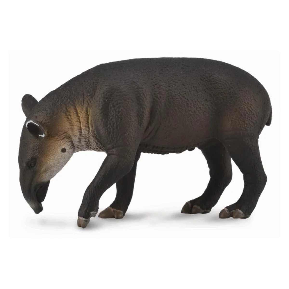 Animale salbatice - Figurina Tapir Baird L Collecta