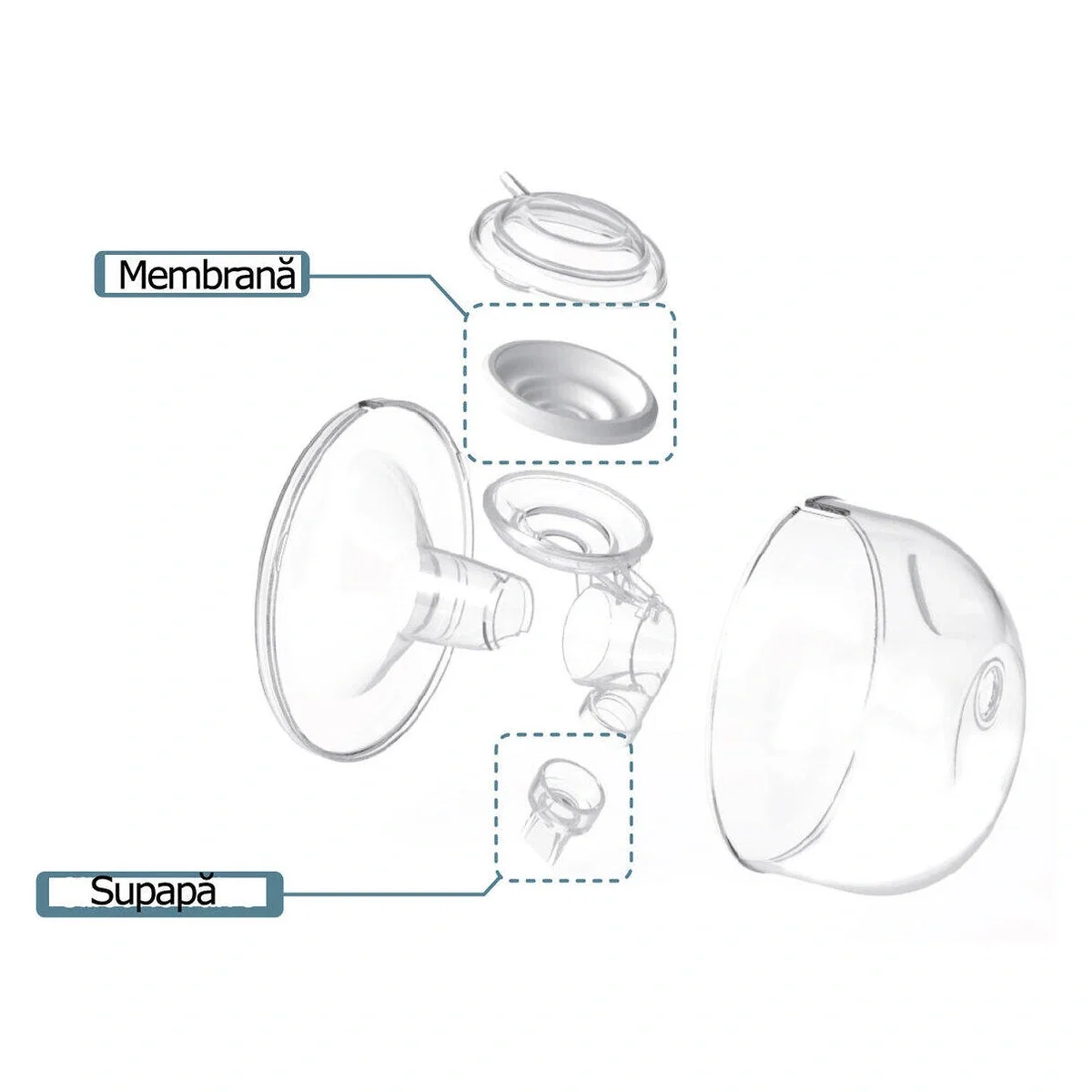 Filtru flux invers cupe Hands Free SPECTRA 3 luni [1]