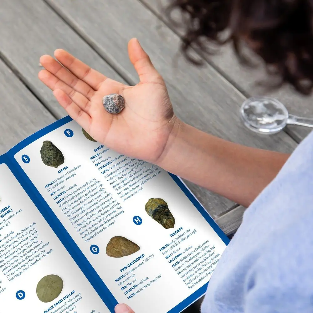 GeoSafari - Kit excavare fosile Educational Insights 7 ani+ [7]