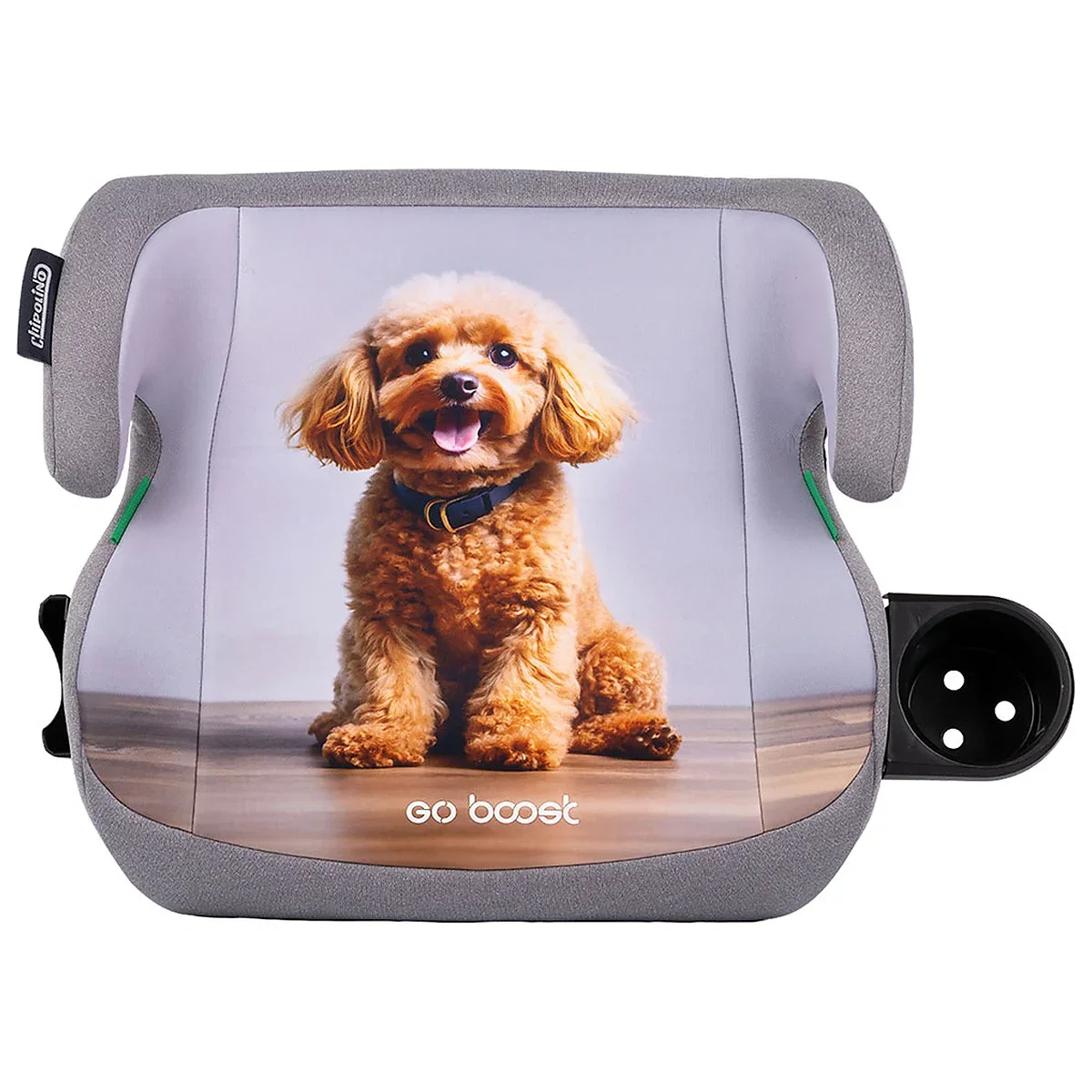 Scaune auto - Inaltator auto Chipolino Go Boost I-Size 125-150 cm poodle