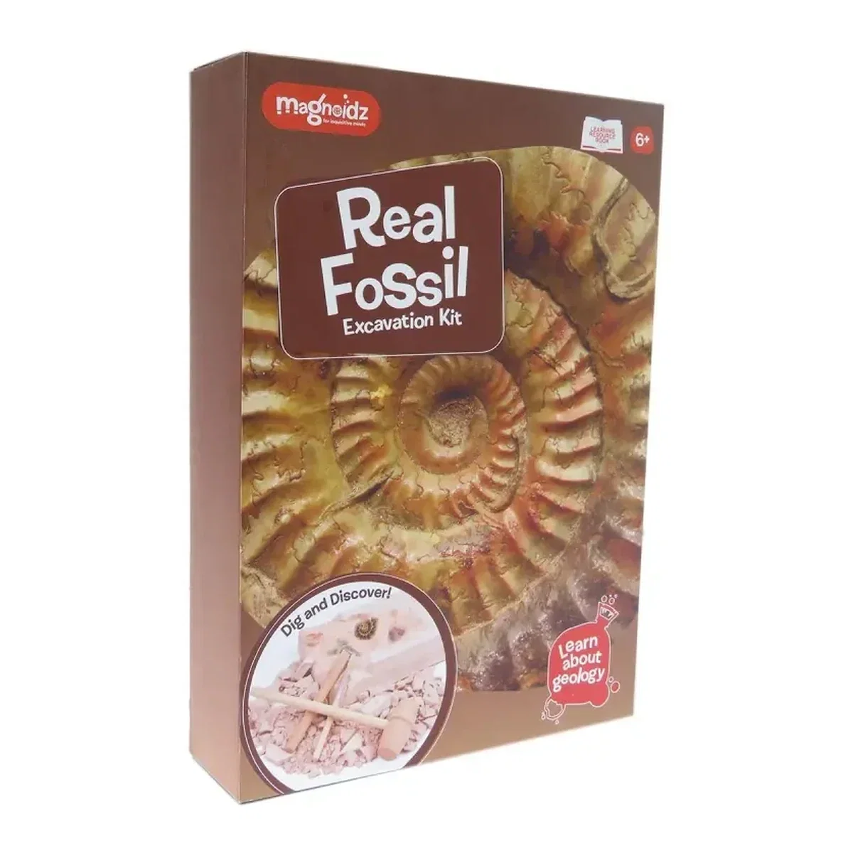 Kit paleontologie - Descopera fosile Keycraft 6 ani+ [2]