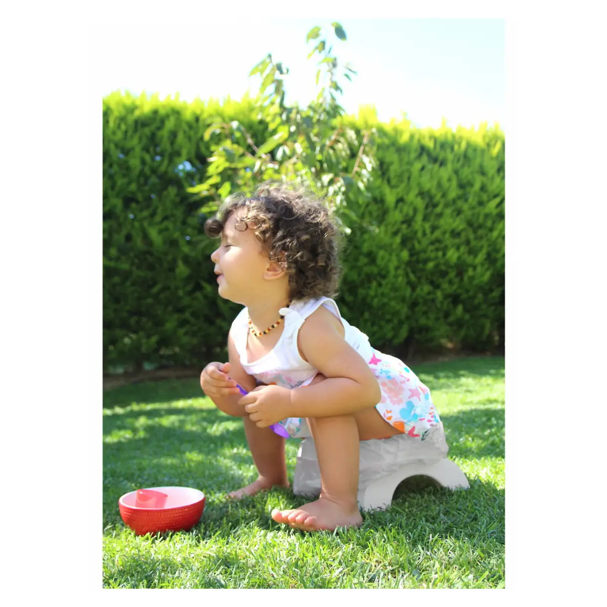 Olita portabila 2in1 BabyJem Roz Portable Seat 2 ani + [5]