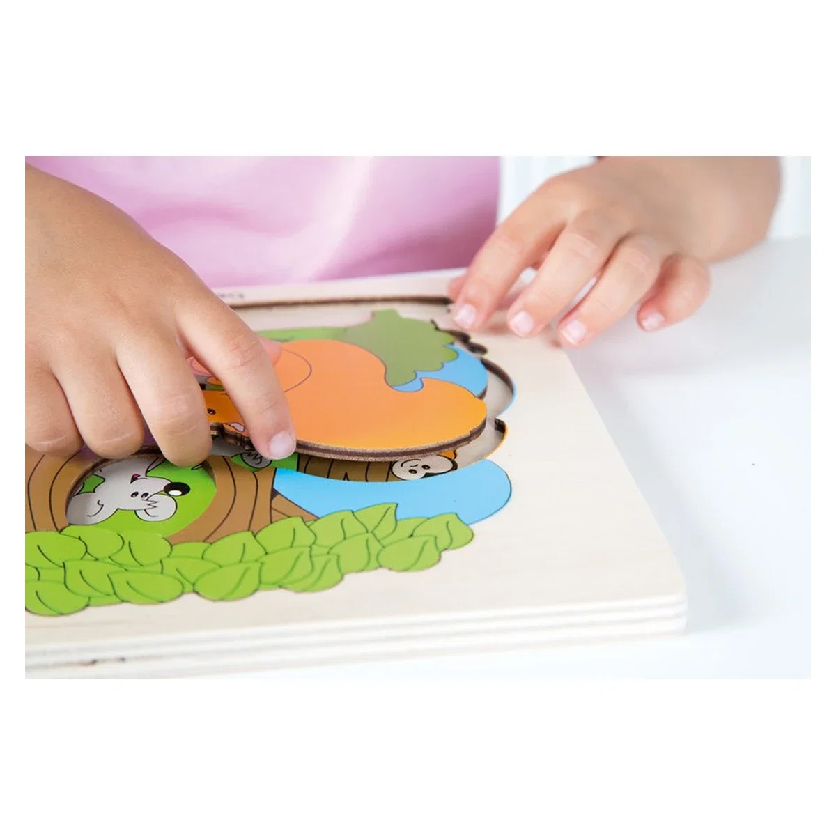 Puzzle Descopera Padurea Beleduc [2]