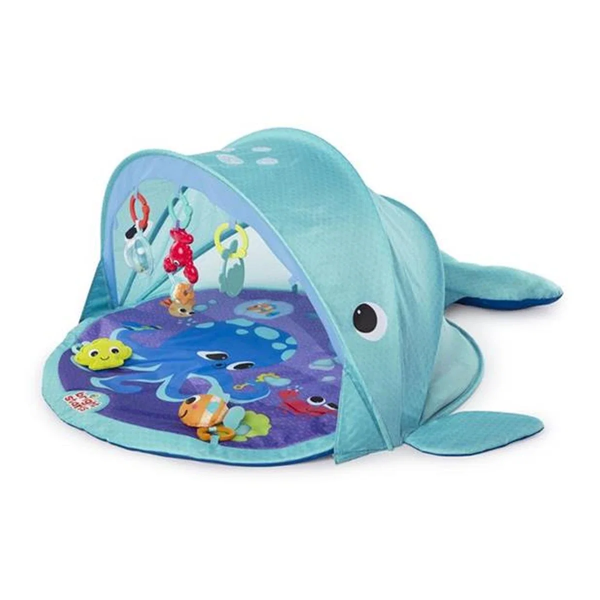 Salteluta de activitati Explore & Go Whale Bright Starts [2]
