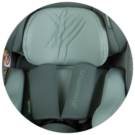 Scaun auto Chipolino Maximus I-Size 40-150 cm, sistem Isofix, Pastel green 12 ani [13]
