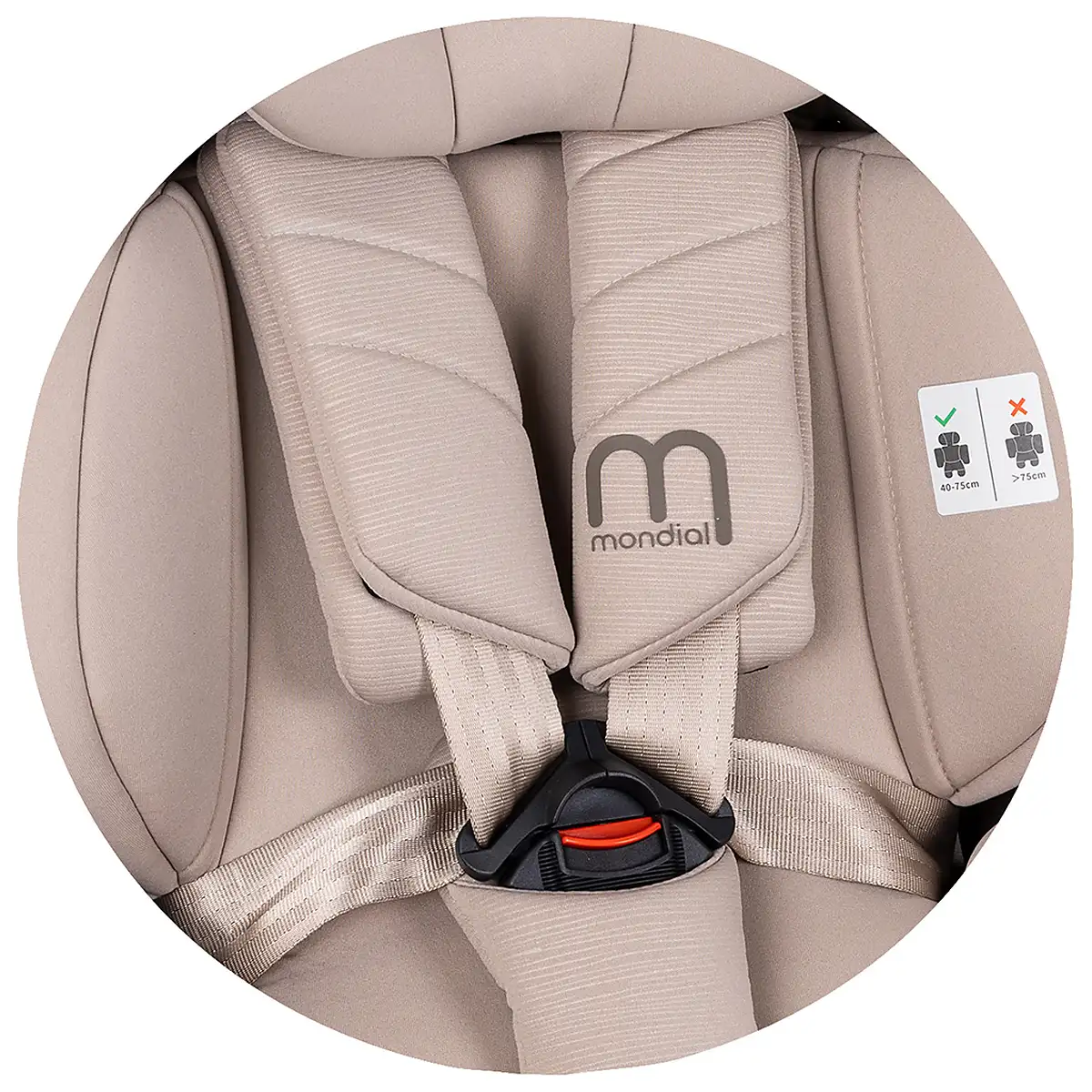 Scaun auto Chipolino Mondial I-Size 40-150 cm, Latte 12 ani [8]