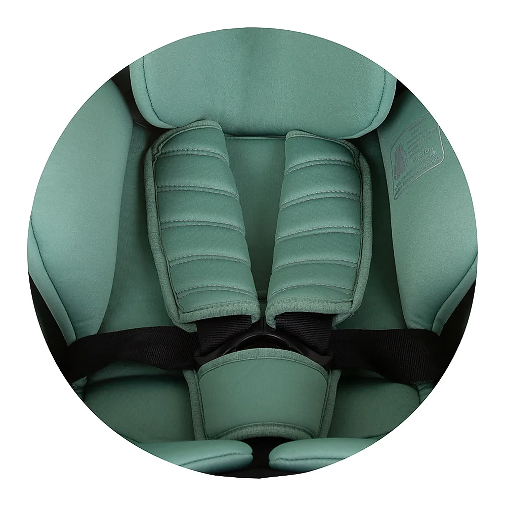 Scaun auto Chipolino Tourino I-Size 40-150 cm, sistem Isofix, Pastel green 12 ani [14]
