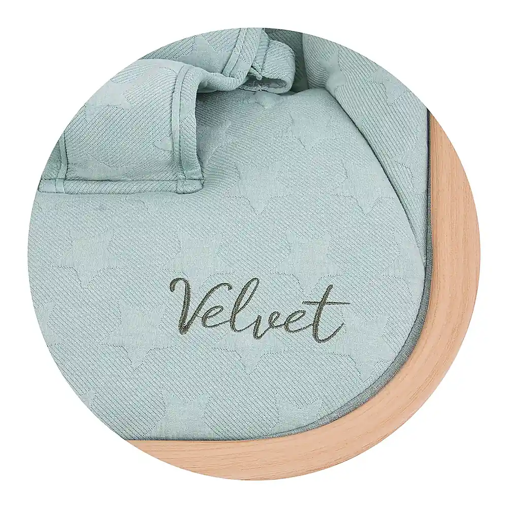 Scaunel balansoar Chipolino Velvet aloe wood 6 luni [5]