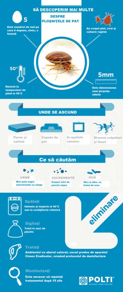 Cimex Eradicator, info grafic cum scap de ploșnițe