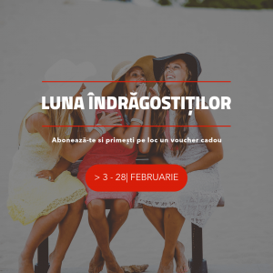 aspiratoare cu abur polti