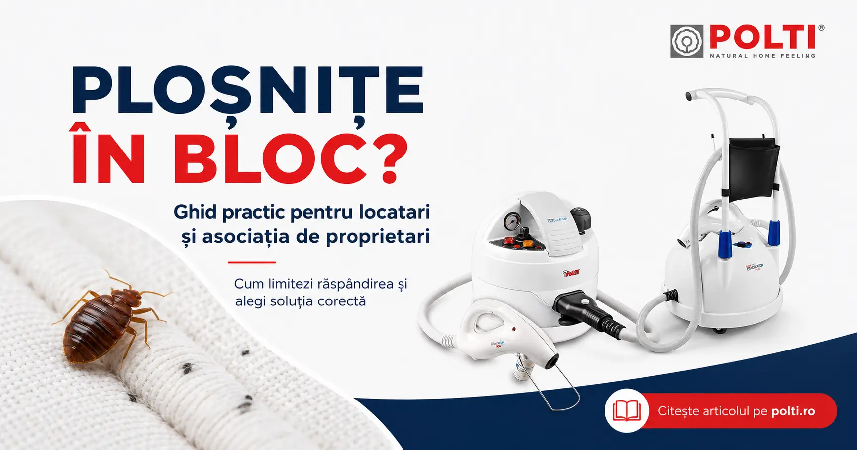 Ploșnițe în bloc: ce trebuie să facă locatarii și asociația ca să oprească infestarea