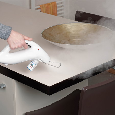 Solutii pentru plosnite - Aparat Contra Plosnitelor si pentru Indepartarea Insectelor si Gandacilor, Dezinfectare și Curatare cu Abur, Polti Sani System Business, Abur pana la 180°C, 2250 W, 4 Bar, Alb/Albastru