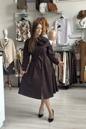 Rochii de zi - Rochie maro tip camasa cu brosa detasabila