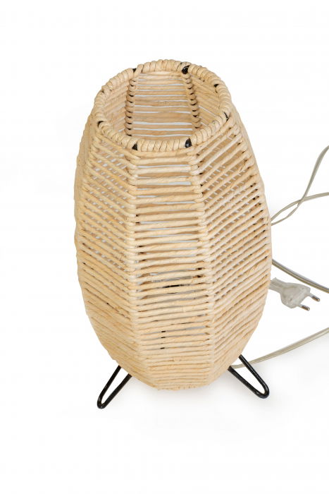 Armonie Luminoasă: Lampa Împletită din Panusă cu Schelet Metalic [2]