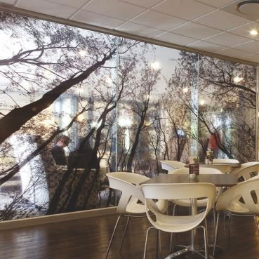 Autocolant PVC - Autocolant pvc - Clear View Premium