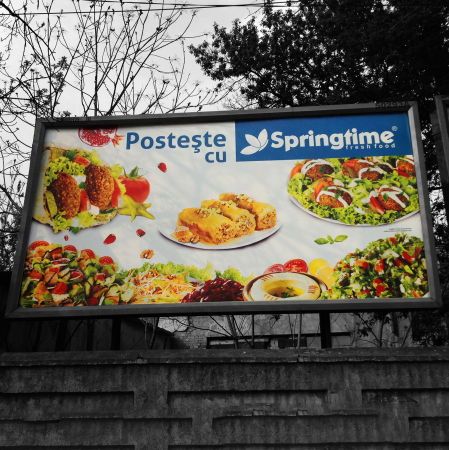 Paper - Paper Blueback